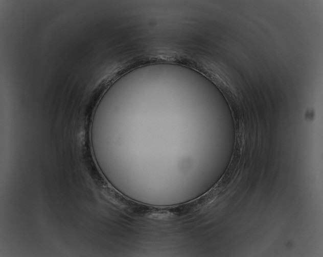 X0000095670595200801081041