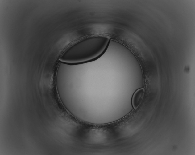 X0000095670596200801081041