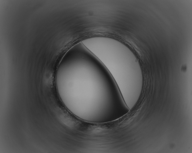 X0000095670597200801081041