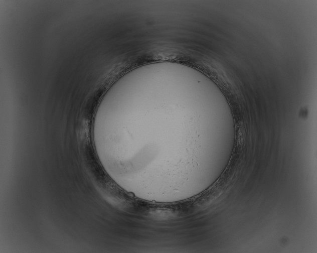 X0000095670598200801081041