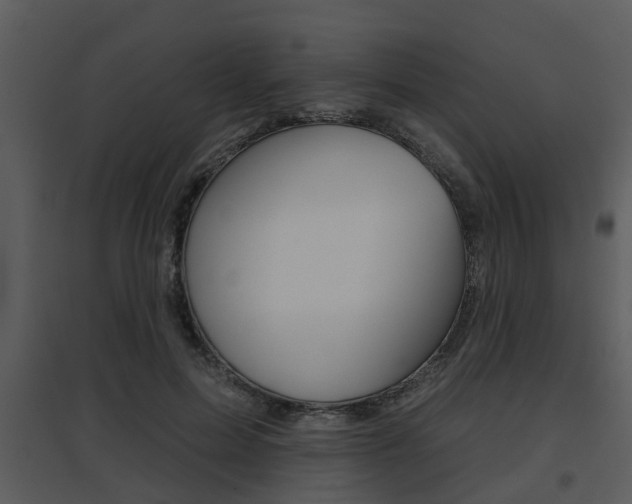 X0000095670599200801081041