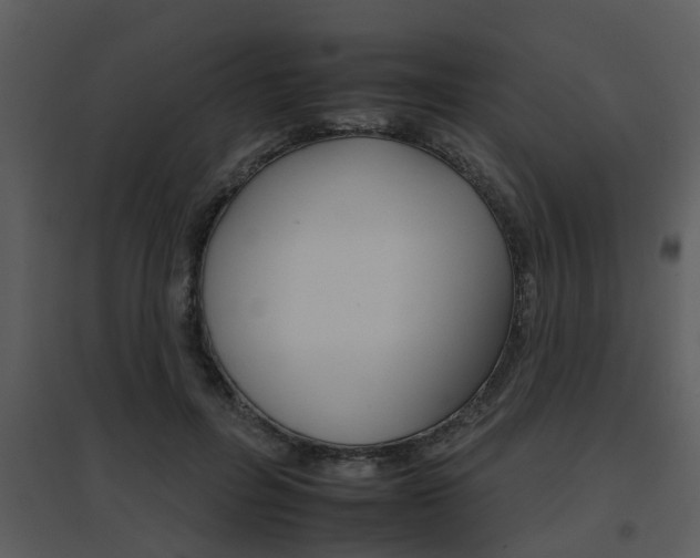 X0000095670600200801081041