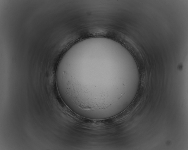 X0000095670604200801081041