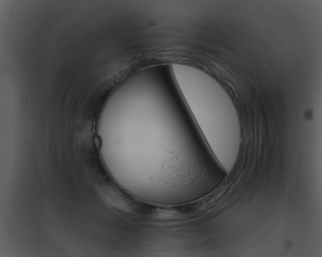X0000095670605200801081041