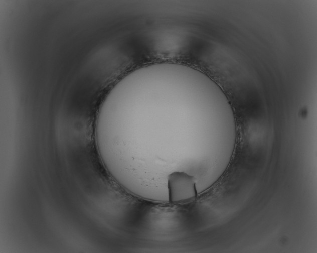 X0000095670606200801081041
