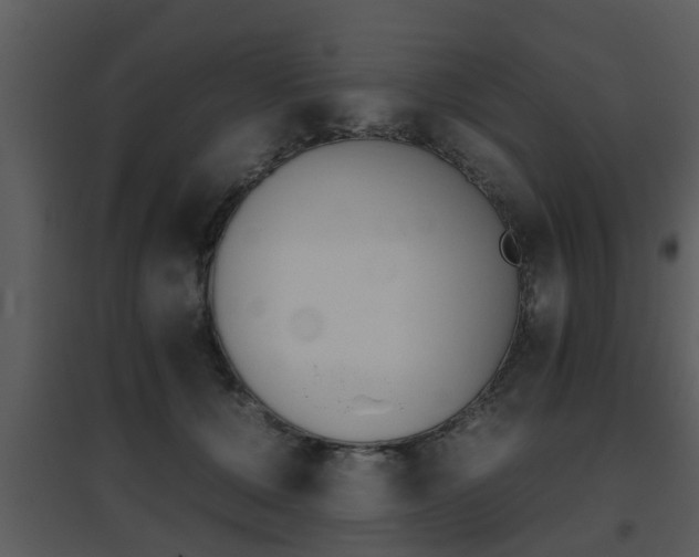 X0000095670607200801081041