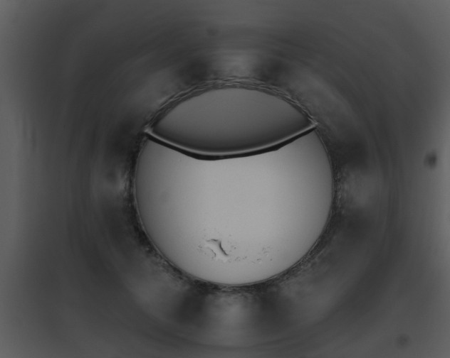 X0000095670608200801081041