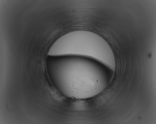 X0000095670609200801081041