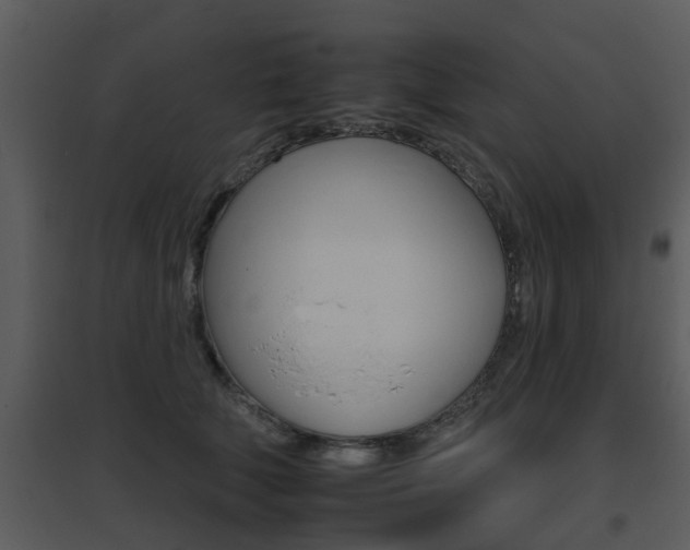 X0000095670610200801081041