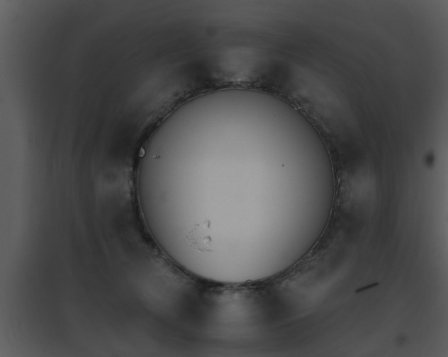 X0000095670612200801081041