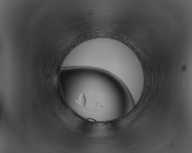 X0000095670613200801081041