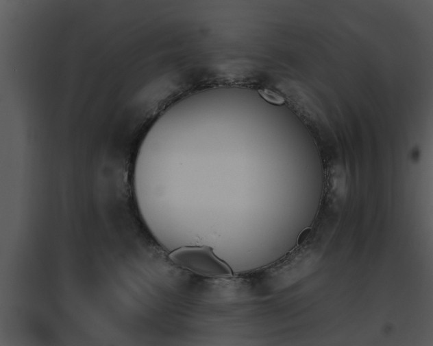X0000095670615200801081041