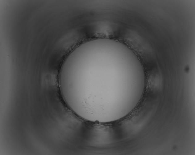 X0000095670616200801081041