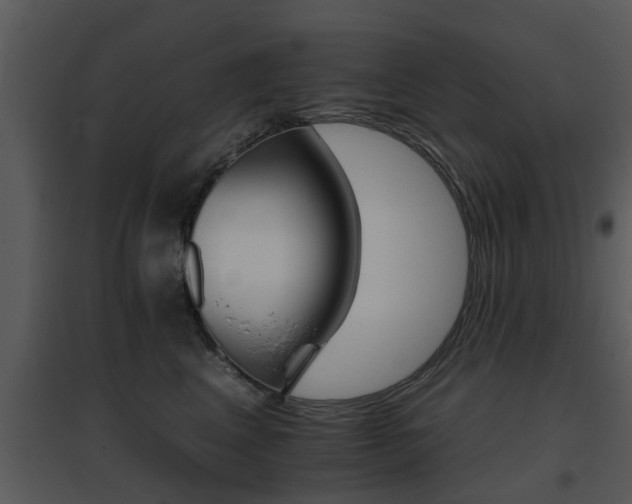 X0000095670617200801081041