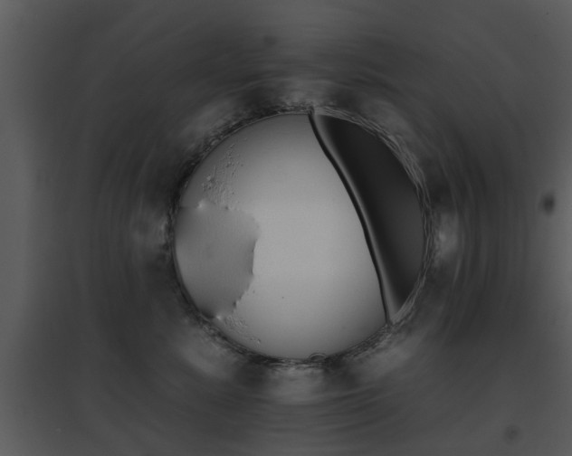 X0000095670619200801081041