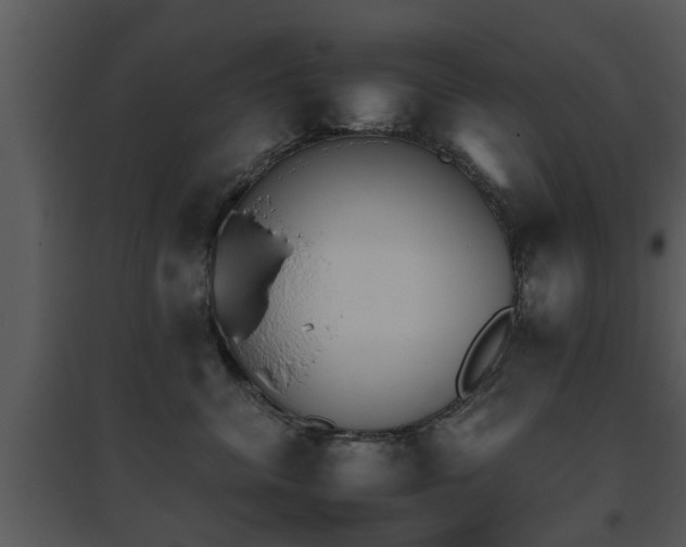 X0000095670620200801081041
