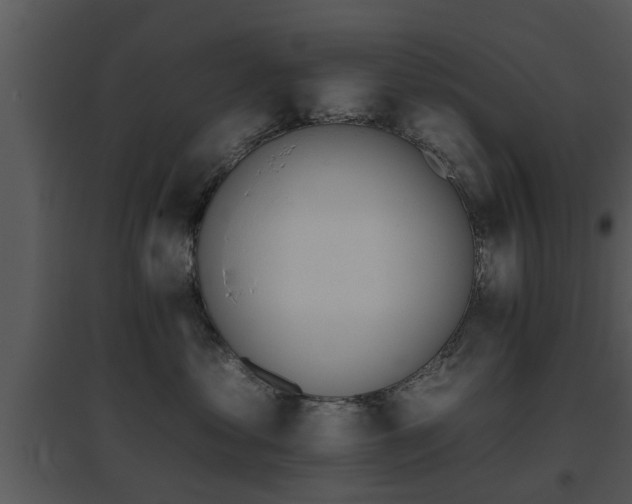 X0000095670621200801081041