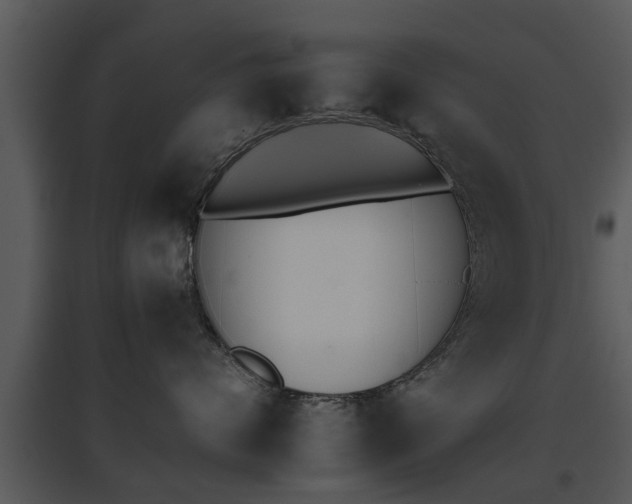X0000095670624200801081041