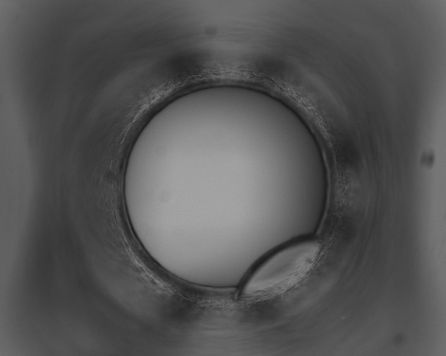 X0000095670625200801081040