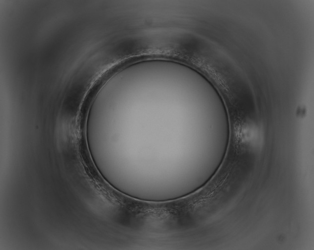 X0000095670628200801081040