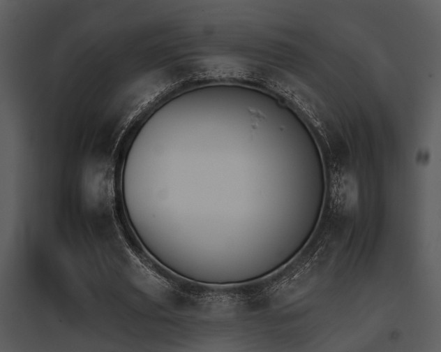 X0000095670629200801081040