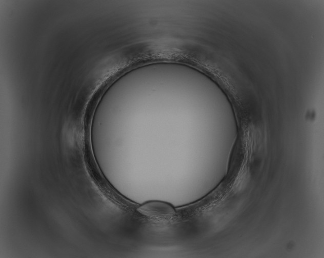 X0000095670630200801081040