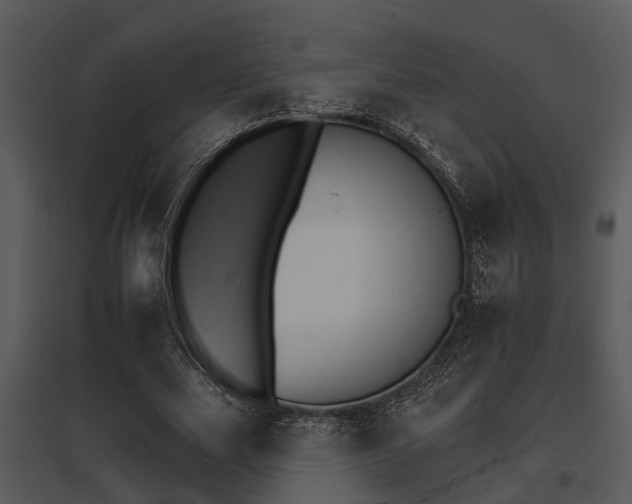 X0000095670631200801081040