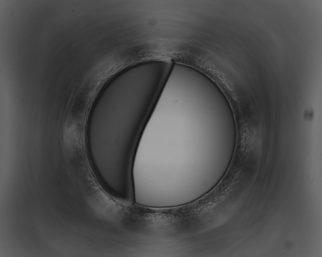X0000095670633200801081040