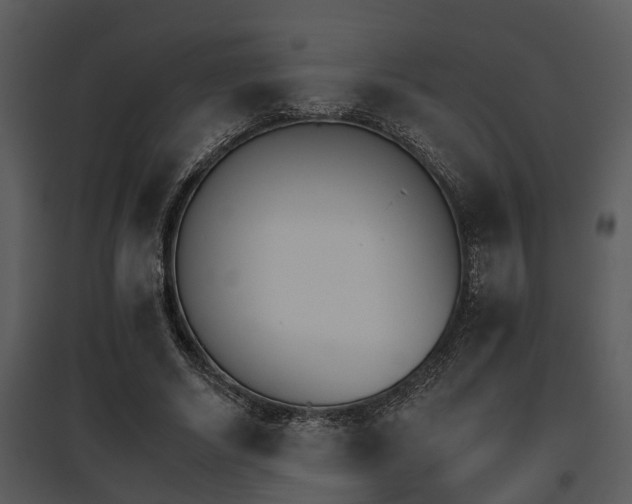 X0000095670634200801081040
