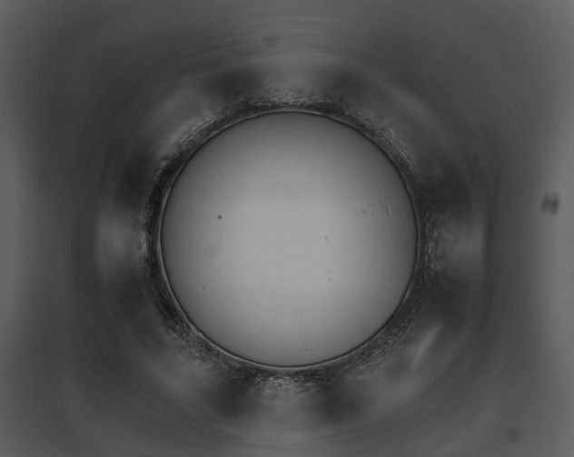 X0000095670635200801081040