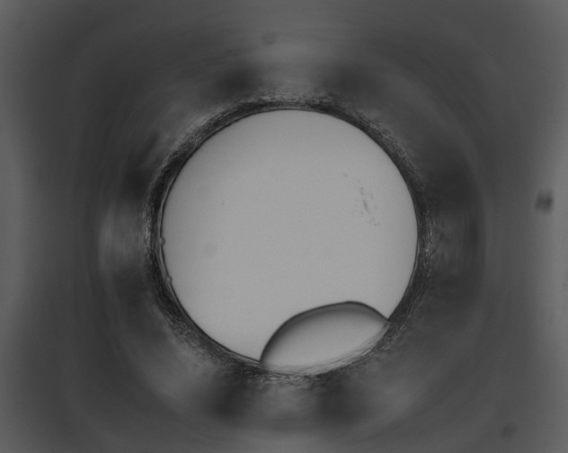 X0000095670636200801081040