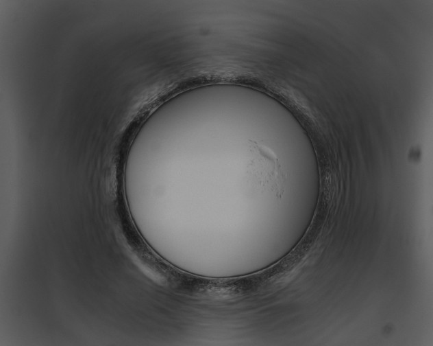 X0000095670638200801081040
