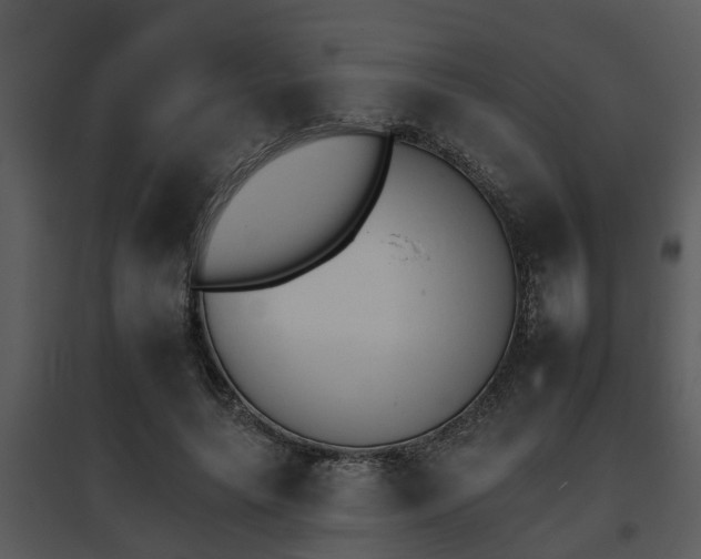 X0000095670639200801081040