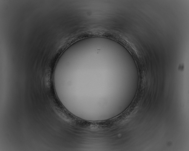 X0000095670641200801081040