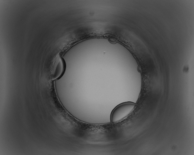 X0000095670642200801081040
