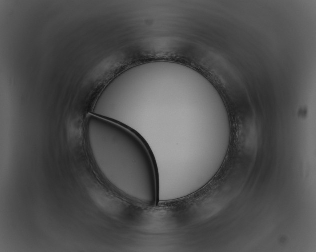 X0000095670643200801081040
