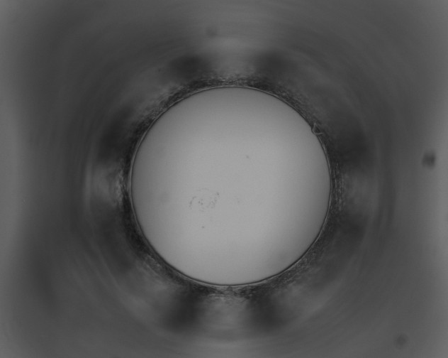 X0000095670644200801081040
