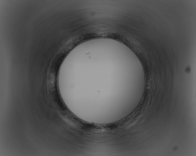 X0000095670646200801081040
