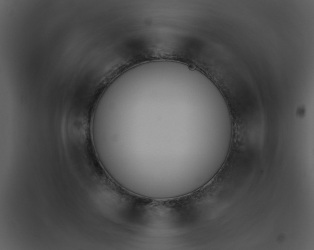 X0000095670648200801081040