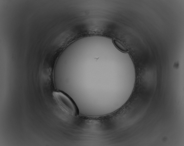 X0000095670649200801081040