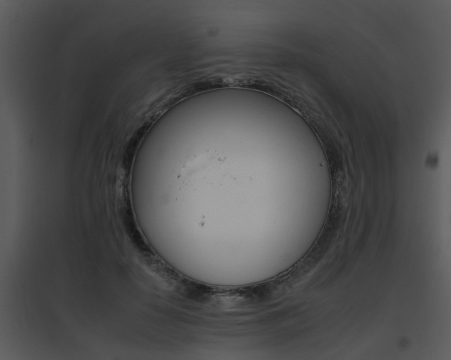 X0000095670650200801081040