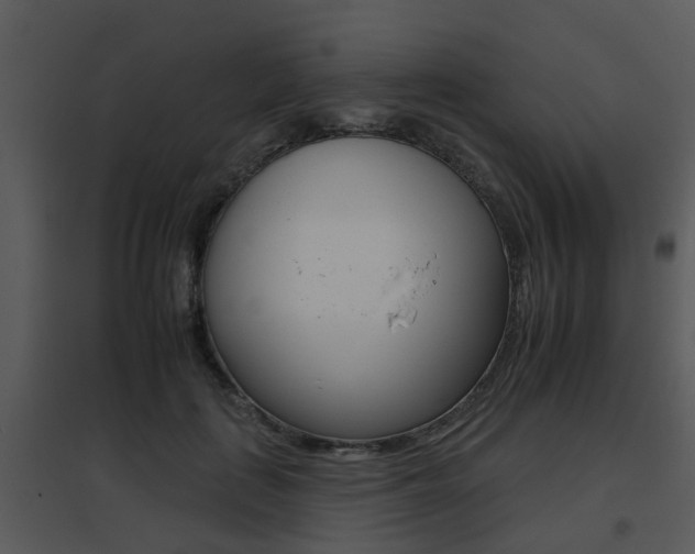 X0000095670651200801081040