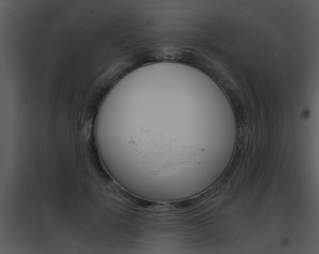 X0000095670652200801081040