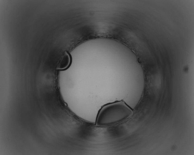 X0000095670653200801081040