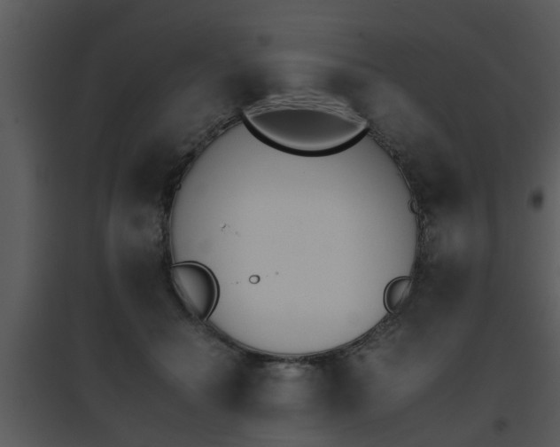 X0000095670654200801081040