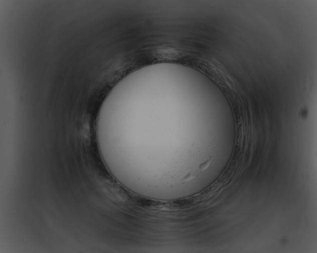 X0000095670655200801081040