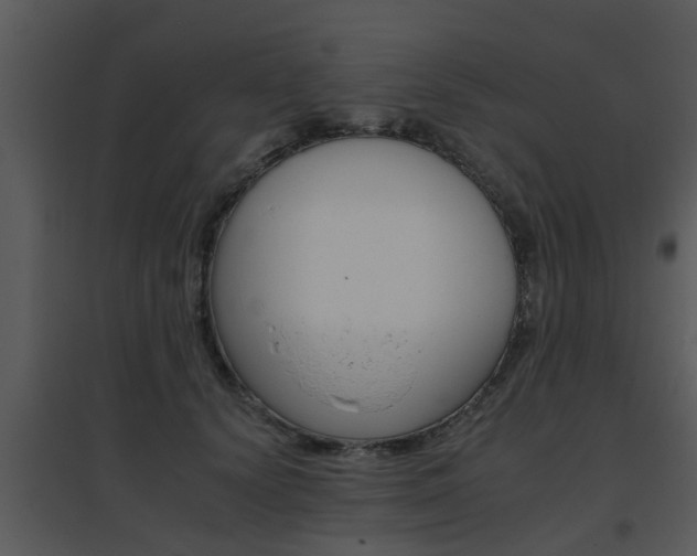X0000095670656200801081040