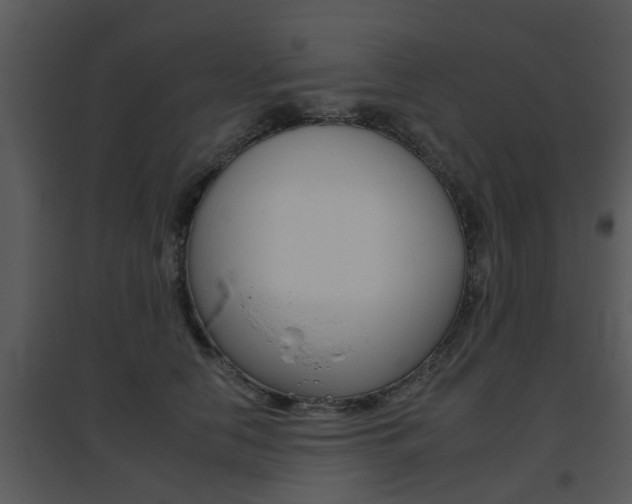 X0000095670658200801081040