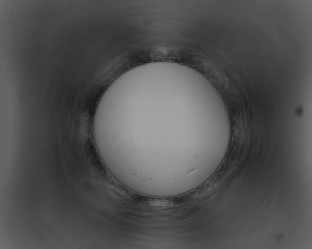 X0000095670659200801081040