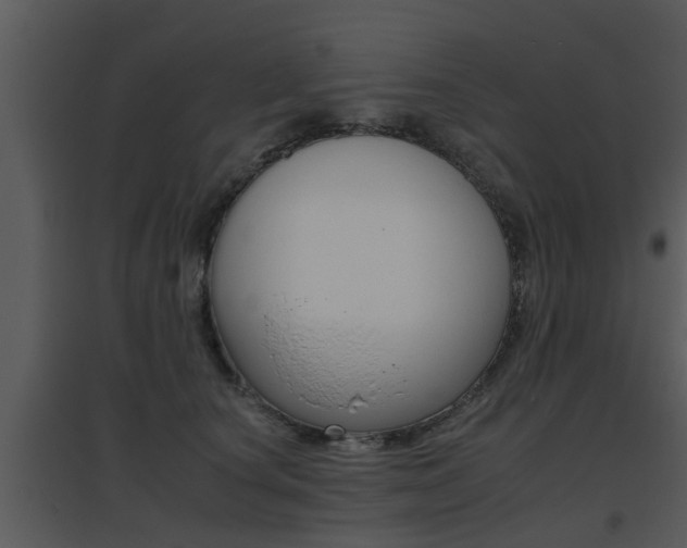 X0000095670660200801081041